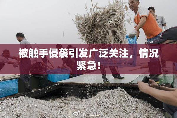 被触手侵袭引发广泛关注，情况紧急！