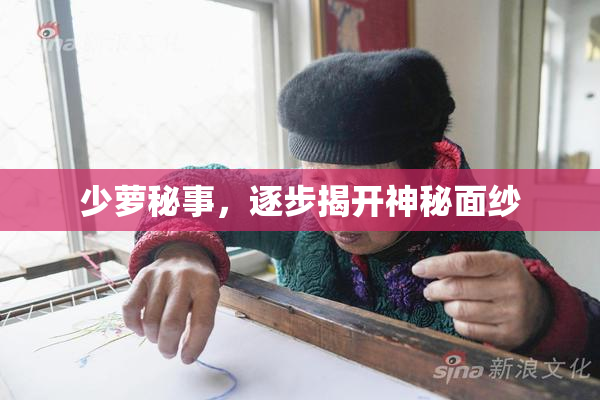少萝秘事，逐步揭开神秘面纱