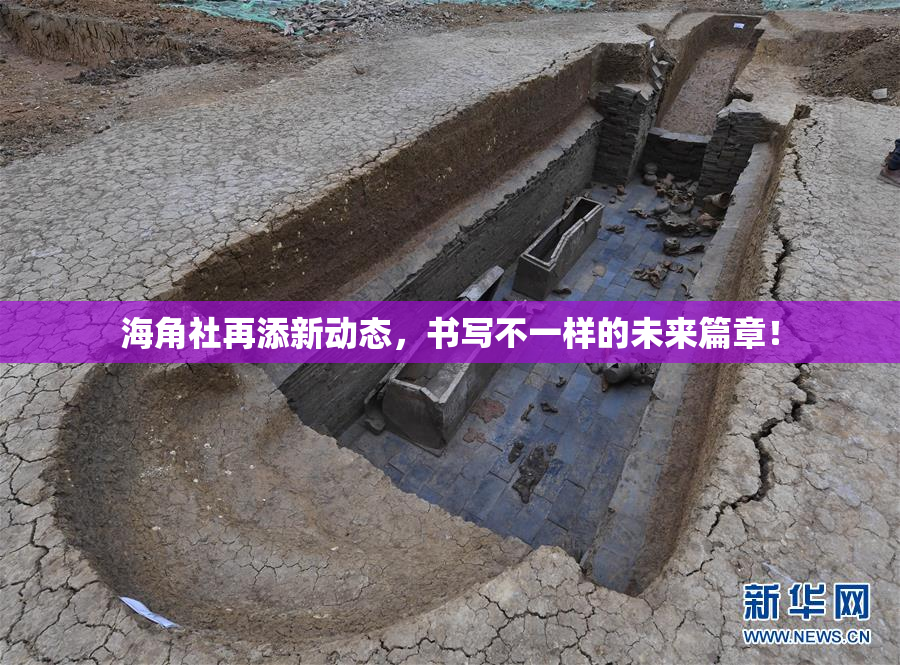 海角社再添新动态，书写不一样的未来篇章！