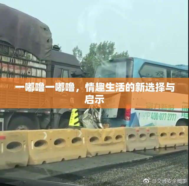 一嘟噜一嘟噜，情趣生活的新选择与启示
