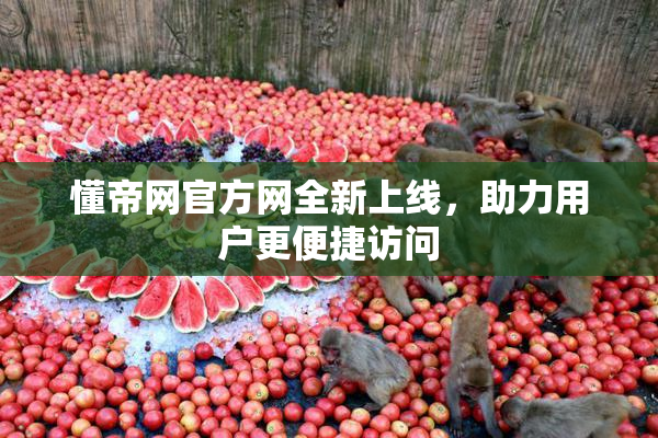 懂帝网官方网全新上线，助力用户更便捷访问
