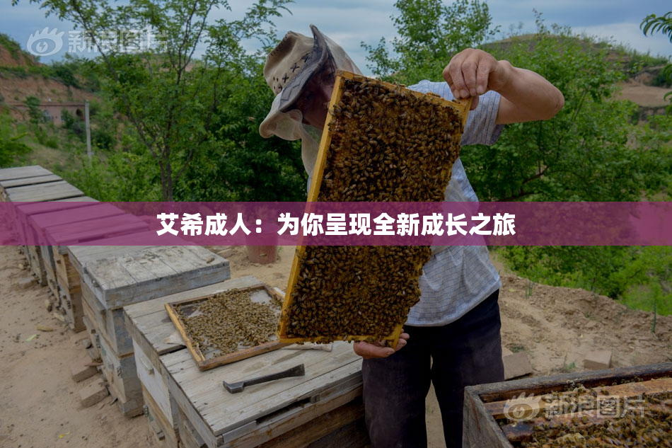 艾希成人：为你呈现全新成长之旅