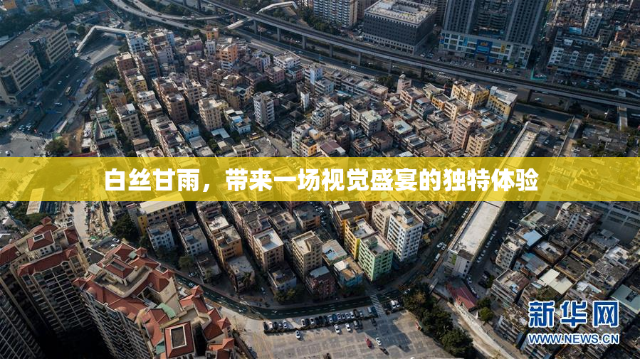 白丝甘雨，带来一场视觉盛宴的独特体验