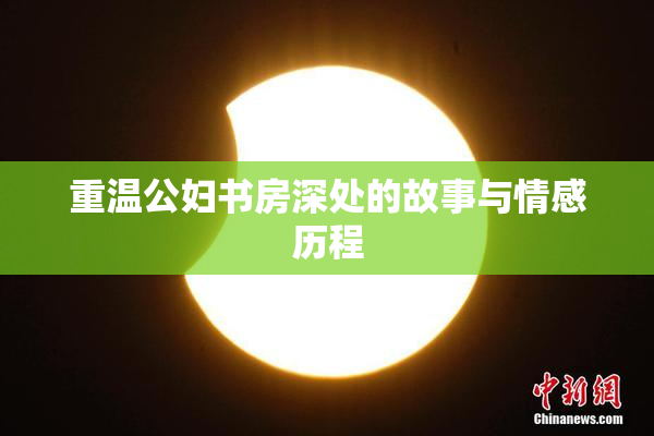 重温公妇书房深处的故事与情感历程
