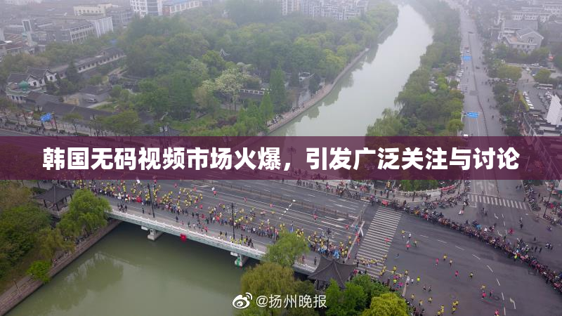 韩国无码视频市场火爆，引发广泛关注与讨论