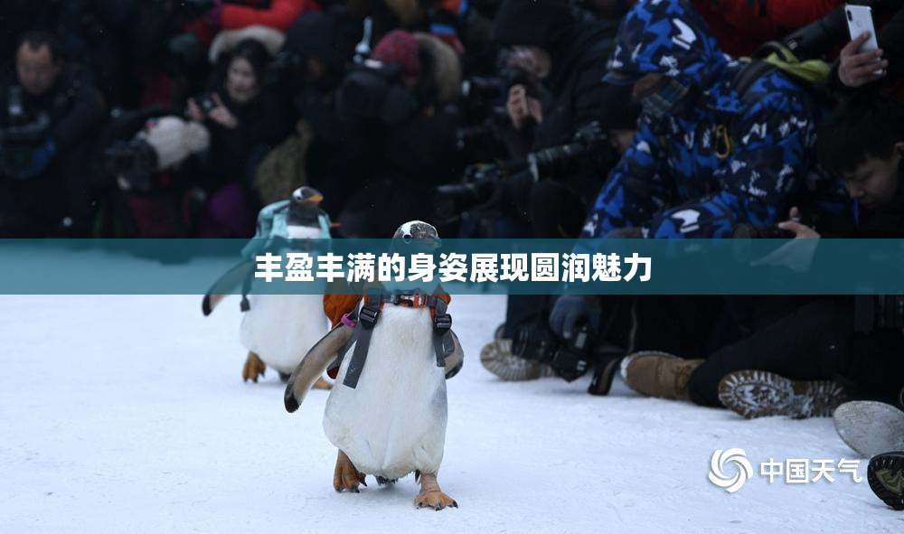 丰盈丰满的身姿展现圆润魅力