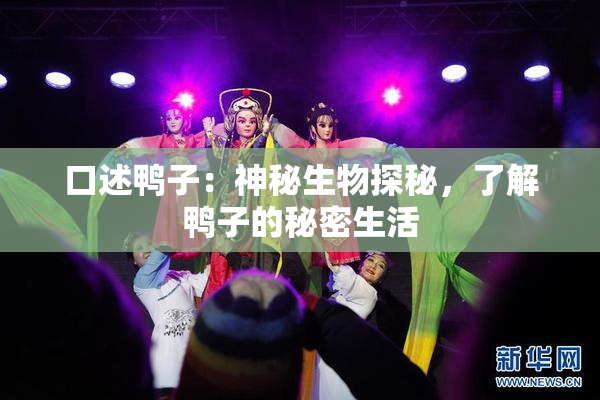 口述鸭子：神秘生物探秘，了解鸭子的秘密生活