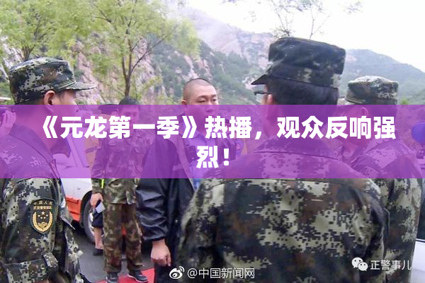 《元龙第一季》热播，观众反响强烈！