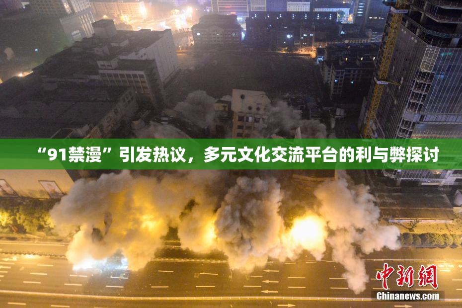 “91禁漫”引发热议，多元文化交流平台的利与弊探讨