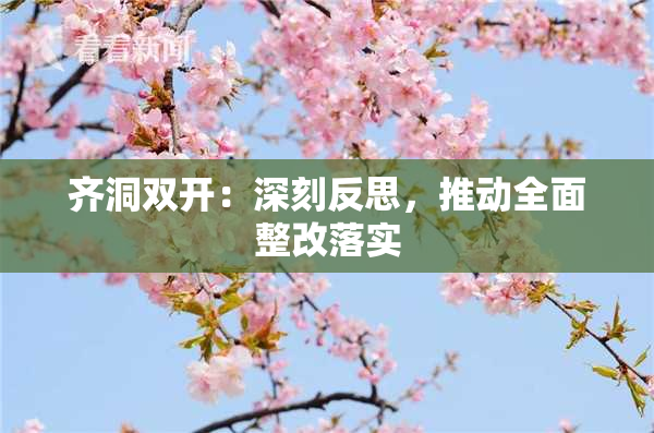 齐洞双开：深刻反思，推动全面整改落实