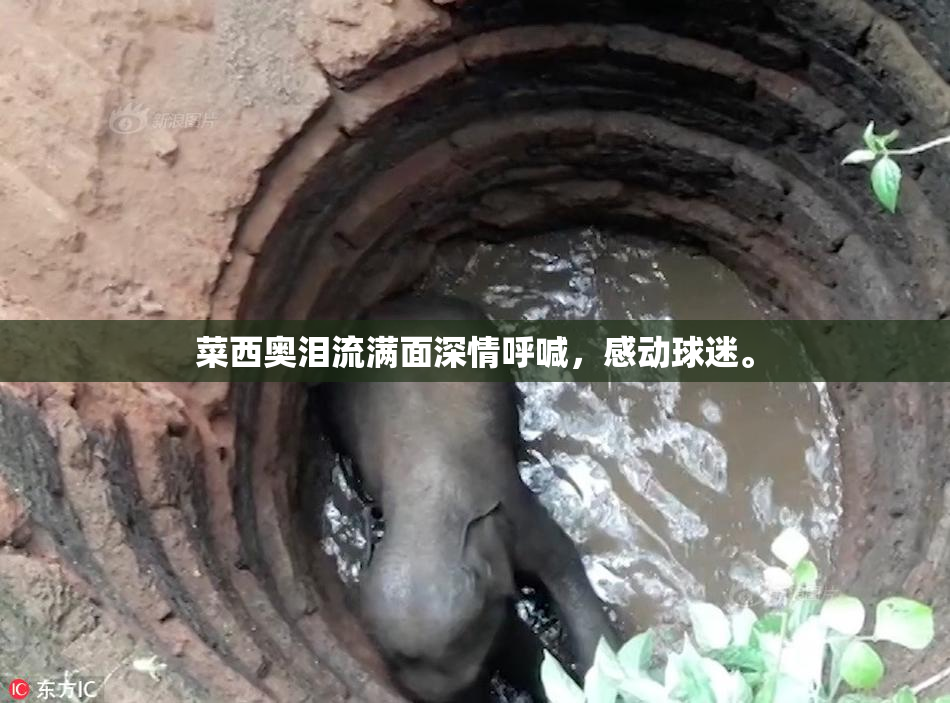 菜西奥泪流满面深情呼喊，感动球迷。
