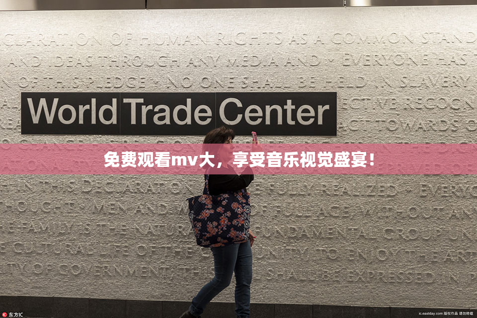 免费观看mv大，享受音乐视觉盛宴！