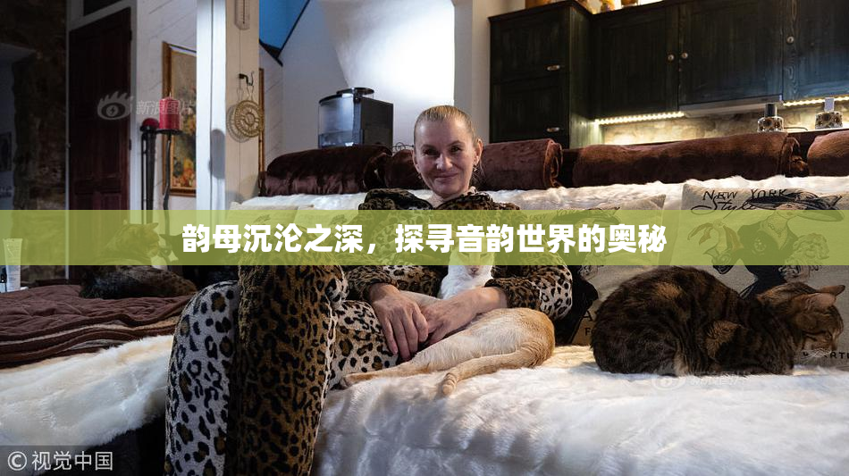 韵母沉沦之深，探寻音韵世界的奥秘