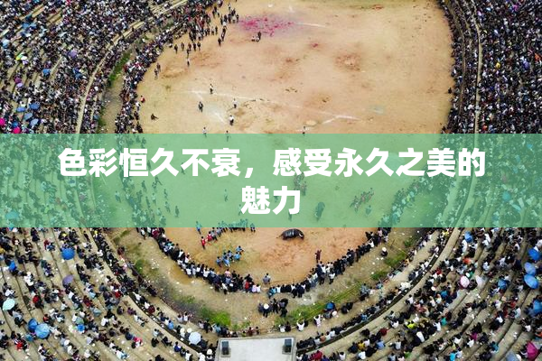 色彩恒久不衰，感受永久之美的魅力