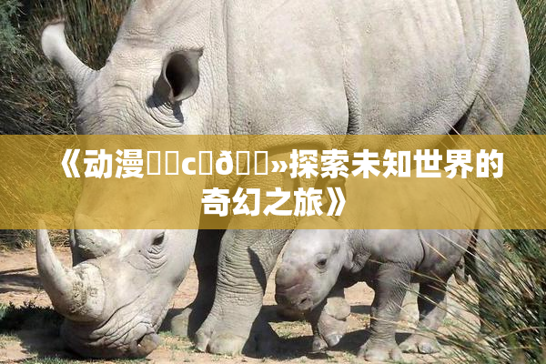 《动漫❌‌c‌🐻探索未知世界的奇幻之旅》