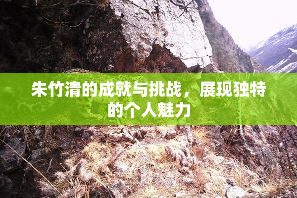 朱竹清的成就与挑战，展现独特的个人魅力