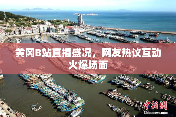 黄冈B站直播盛况，网友热议互动火爆场面