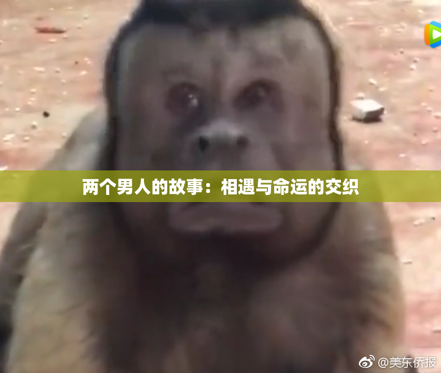 两个男人的故事：相遇与命运的交织