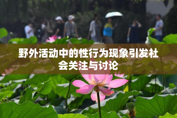 野外活动中的性行为现象引发社会关注与讨论