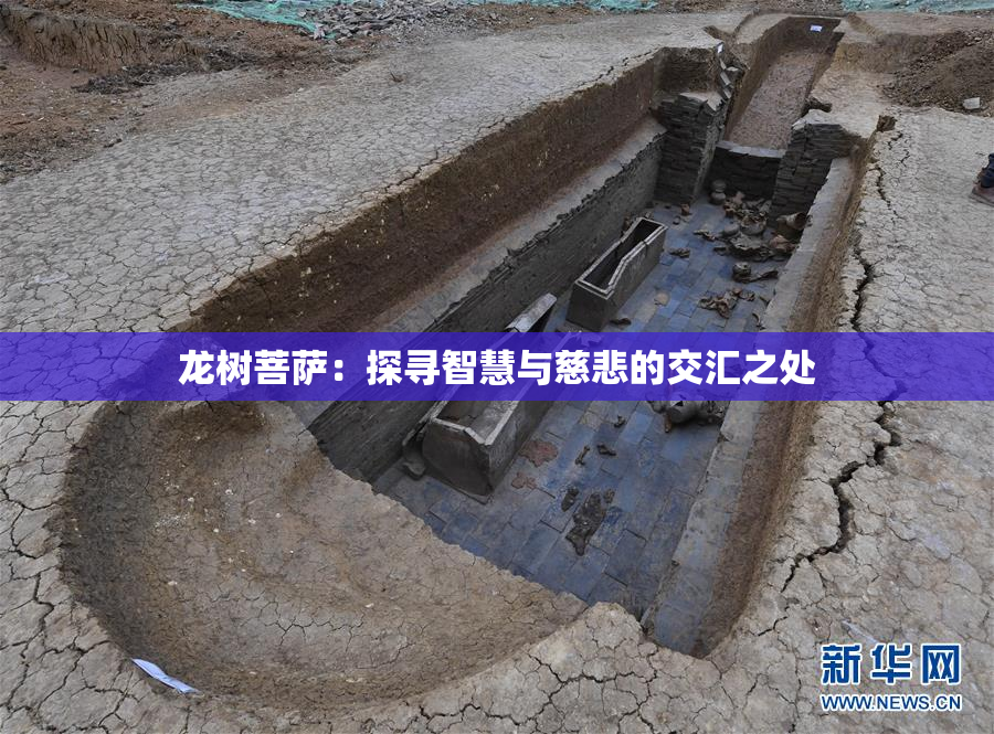 龙树菩萨：探寻智慧与慈悲的交汇之处