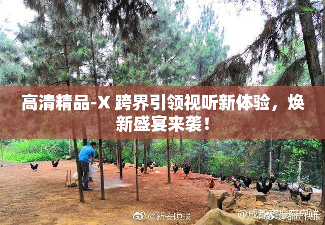 高清精品-X 跨界引领视听新体验，焕新盛宴来袭！