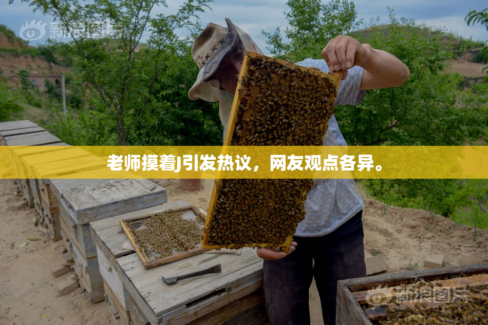 老师摸着J引发热议，网友观点各异。