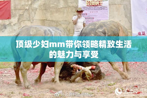 顶级少妇mm带你领略精致生活的魅力与享受
