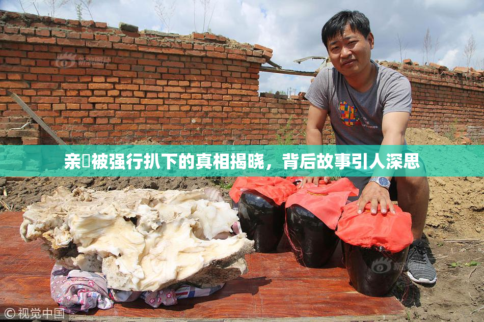 亲妺被强行扒下的真相揭晓，背后故事引人深思