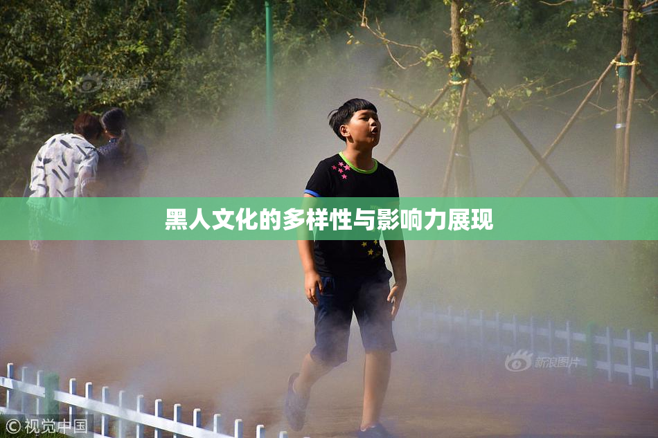 黑人文化的多样性与影响力展现