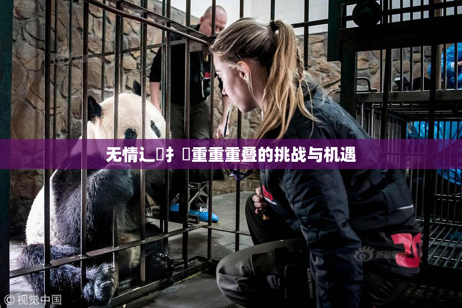 无情辶喿扌畐重重重叠的挑战与机遇