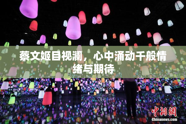 蔡文姬目视澜，心中涌动千般情绪与期待