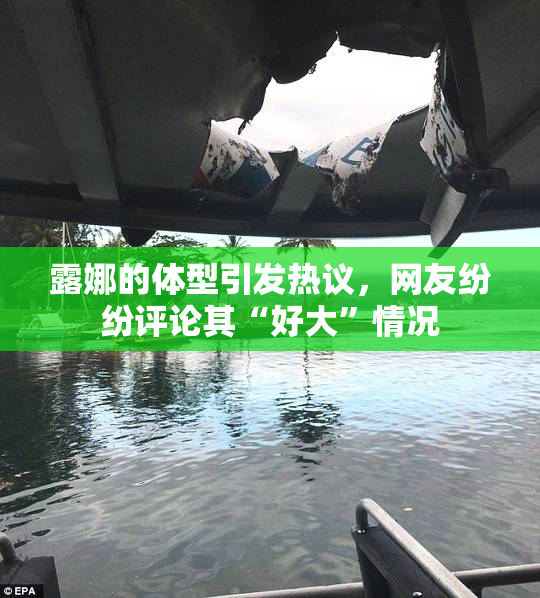 露娜的体型引发热议，网友纷纷评论其“好大”情况
