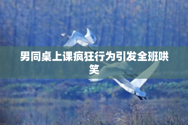 男同桌上课疯狂行为引发全班哄笑