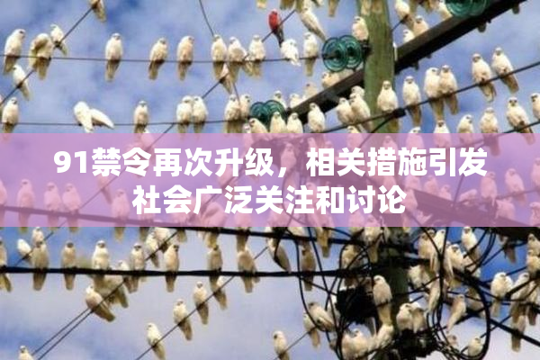 91禁令再次升级，相关措施引发社会广泛关注和讨论
