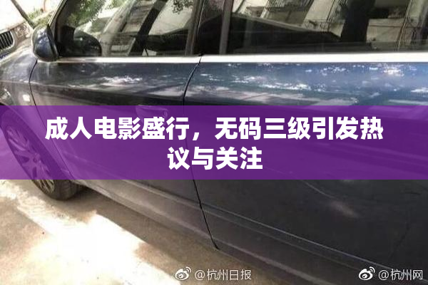 成人电影盛行，无码三级引发热议与关注