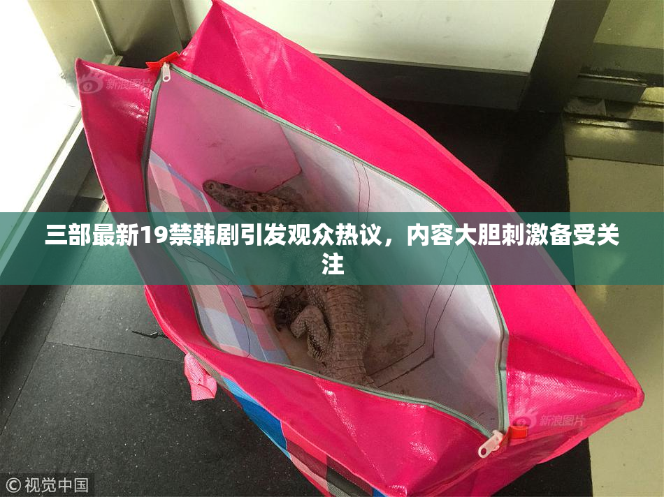 三部最新19禁韩剧引发观众热议，内容大胆刺激备受关注