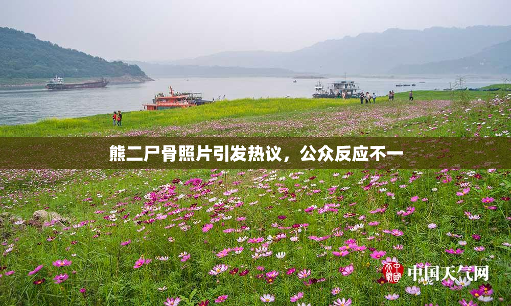 熊二尸骨照片引发热议，公众反应不一