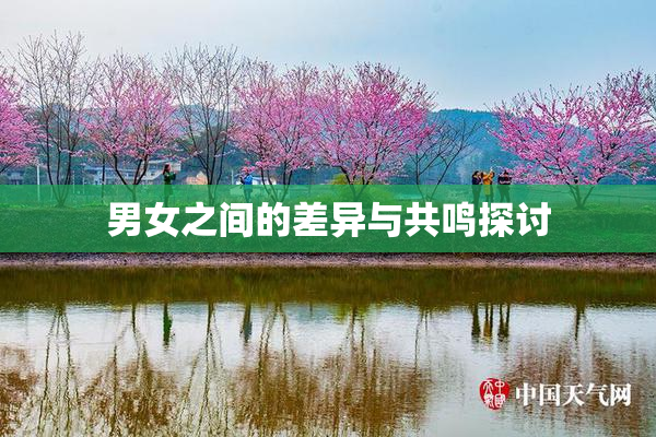 男女之间的差异与共鸣探讨