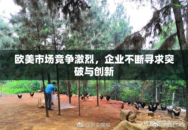 欧美市场竞争激烈，企业不断寻求突破与创新