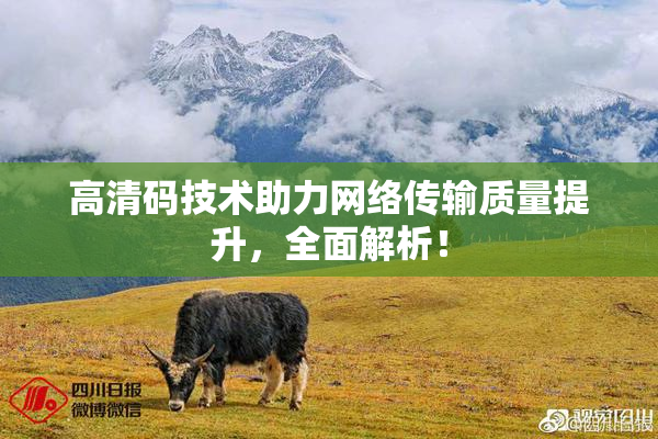 高清码技术助力网络传输质量提升，全面解析！