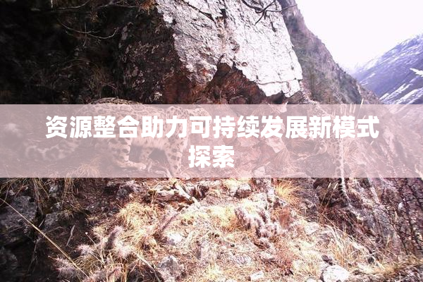 资源整合助力可持续发展新模式探索