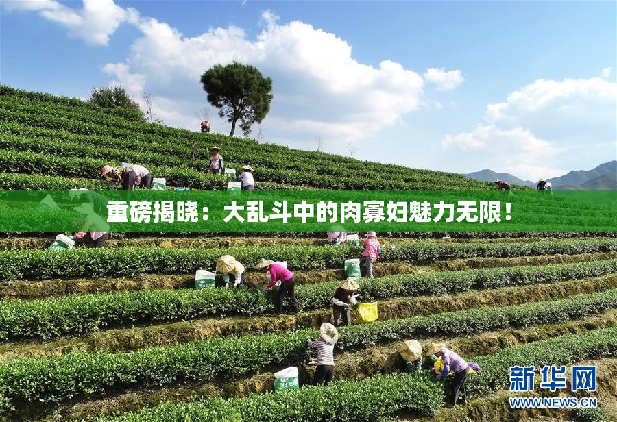重磅揭晓：大乱斗中的肉寡妇魅力无限！
