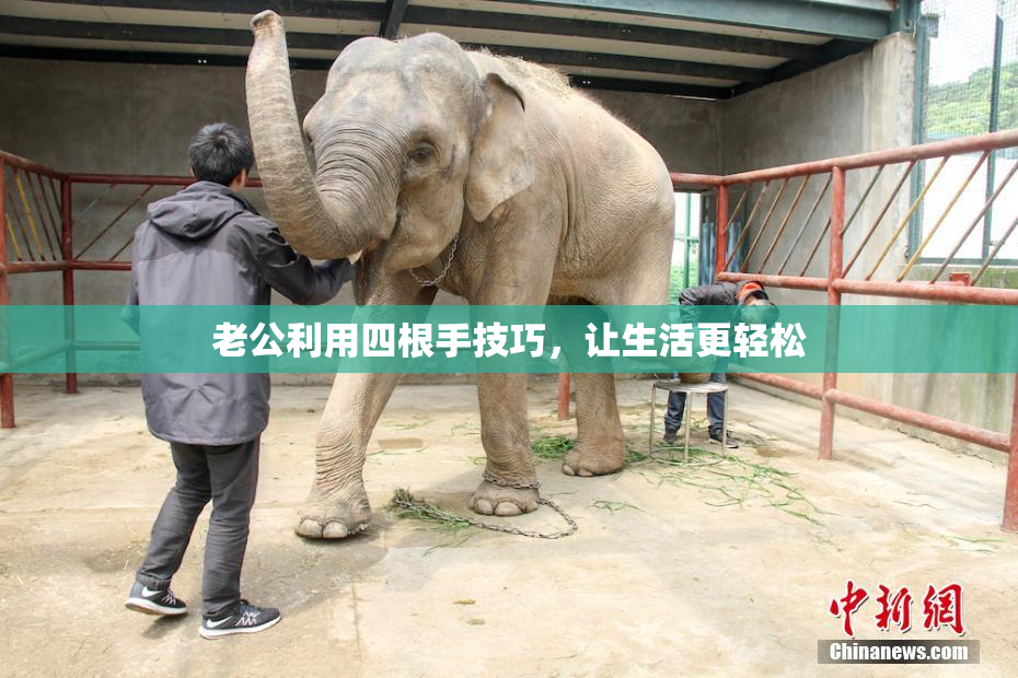 老公利用四根手技巧，让生活更轻松