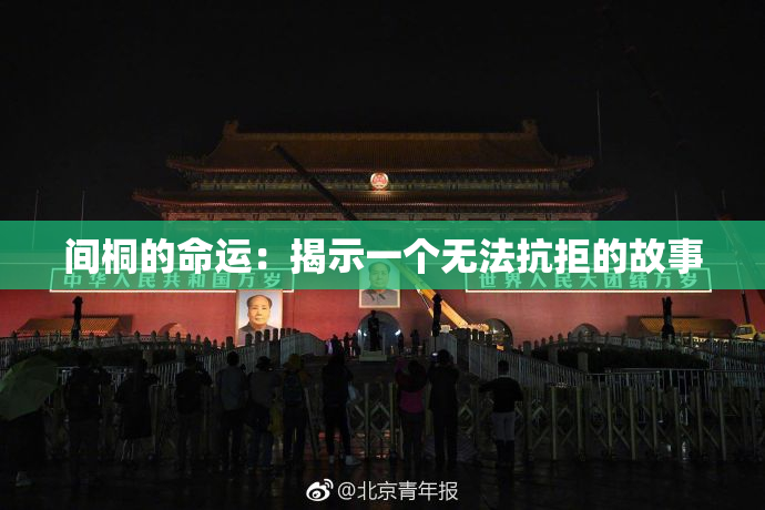 间桐的命运：揭示一个无法抗拒的故事