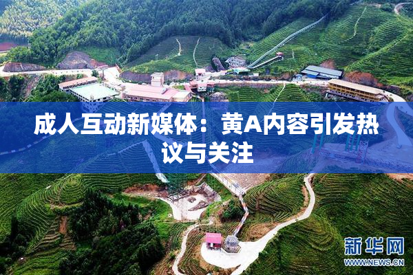 成人互动新媒体：黄A内容引发热议与关注
