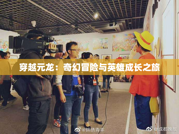 穿越元龙：奇幻冒险与英雄成长之旅