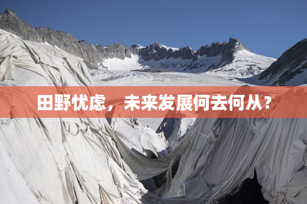 田野忧虑，未来发展何去何从？