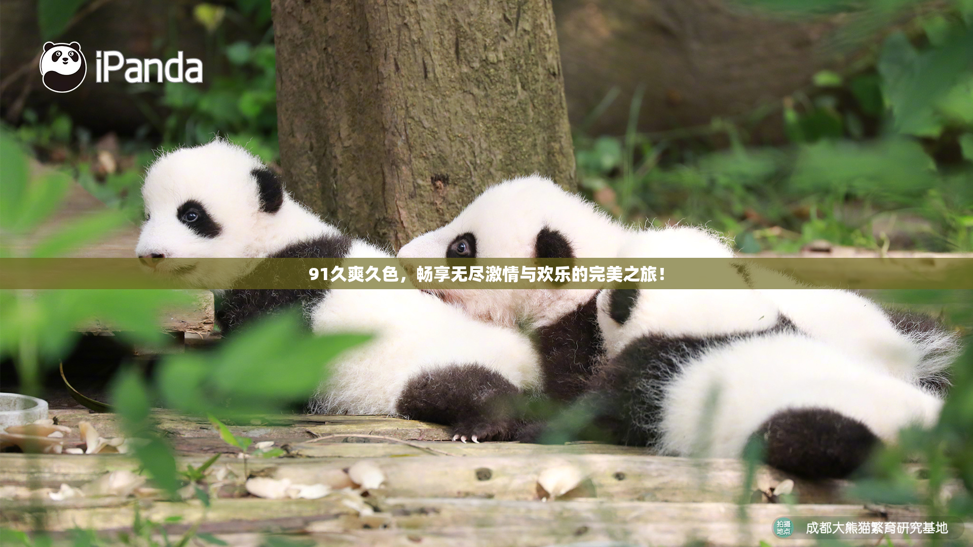 91久爽久色，畅享无尽激情与欢乐的完美之旅！