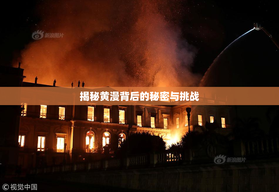 揭秘黄漫背后的秘密与挑战