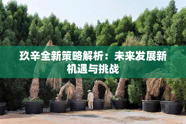 玖辛全新策略解析：未来发展新机遇与挑战